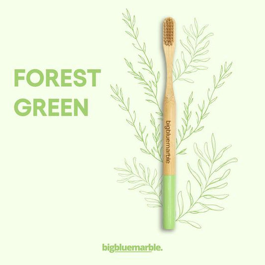 Biodegradable Bamboo Toothbrush
